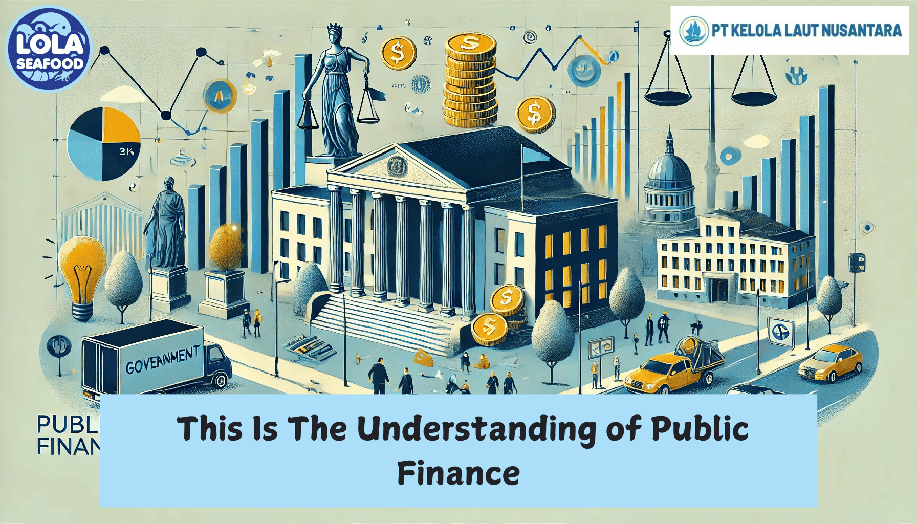  This Is The Understanding of Public Finance